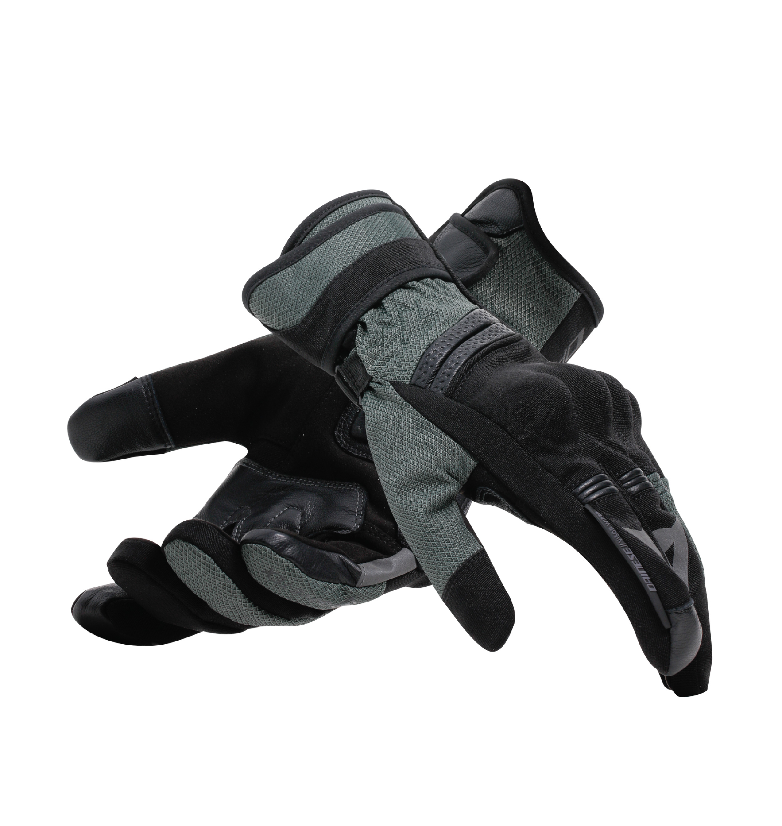 Daisy on the Ohoopee